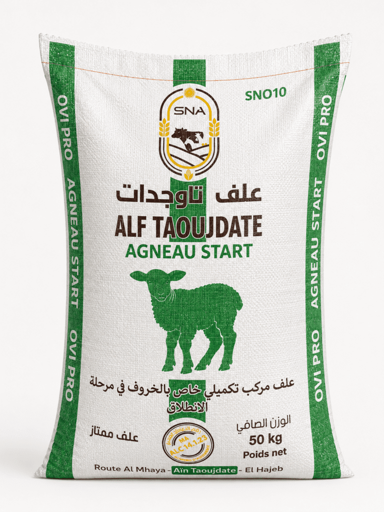 agneau start