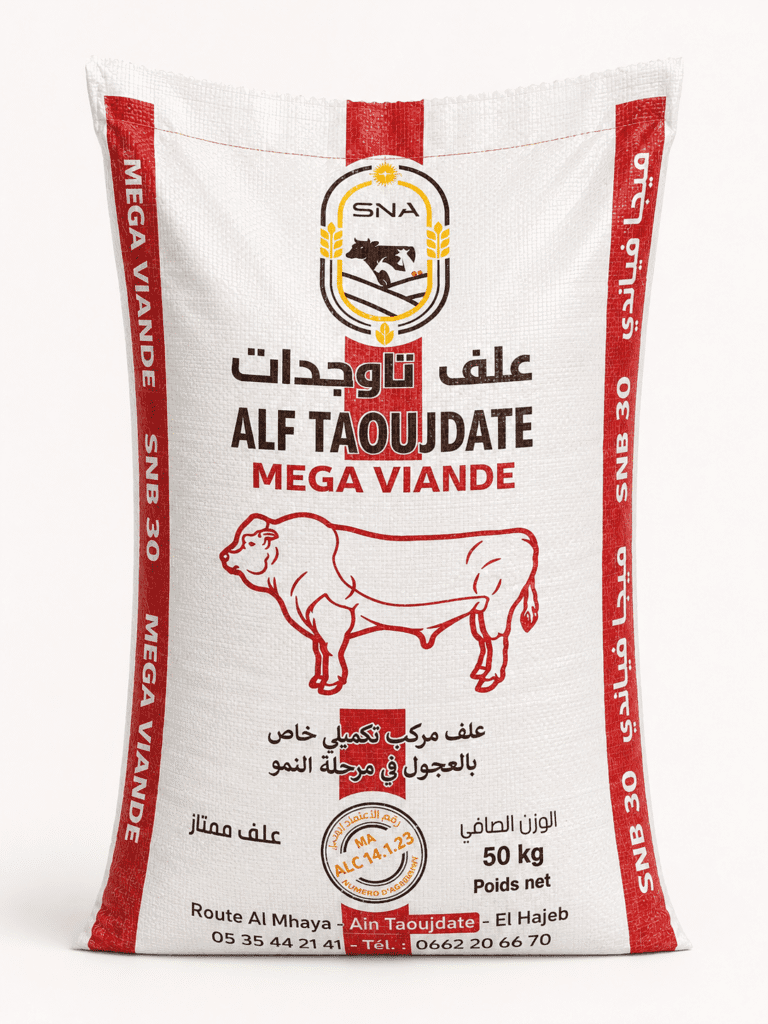mega viande