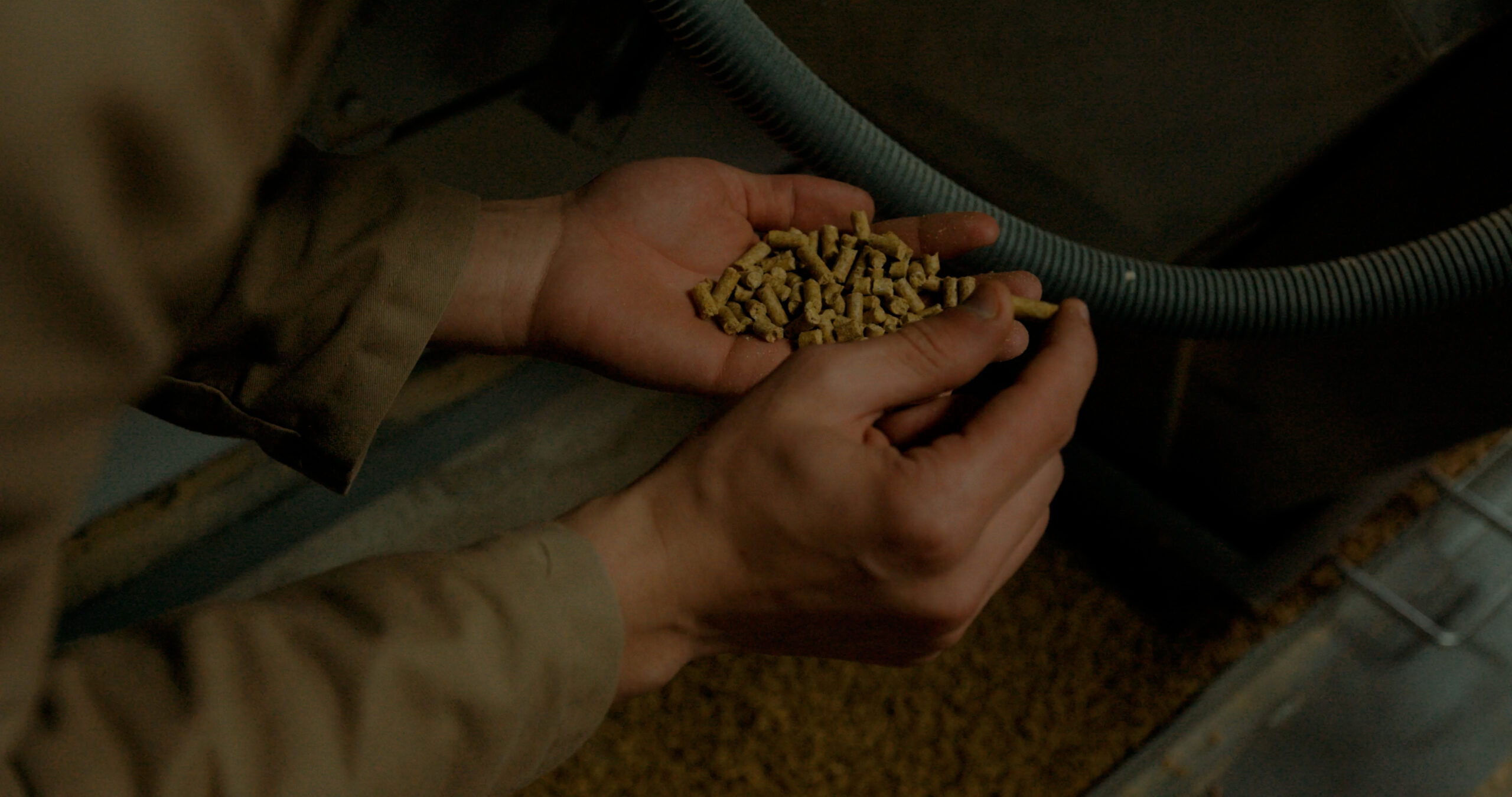 photo commercial video 1.mp4.00 02 14 00.still040